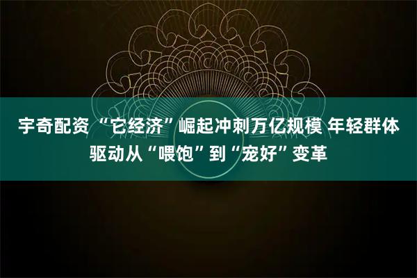 宇奇配资 “它经济”崛起冲刺万亿规模 年轻群体驱动从“喂饱”到“宠好”变革