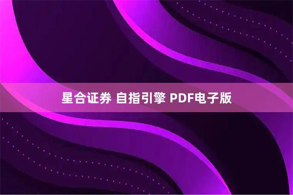 星合证券 自指引擎 PDF电子版